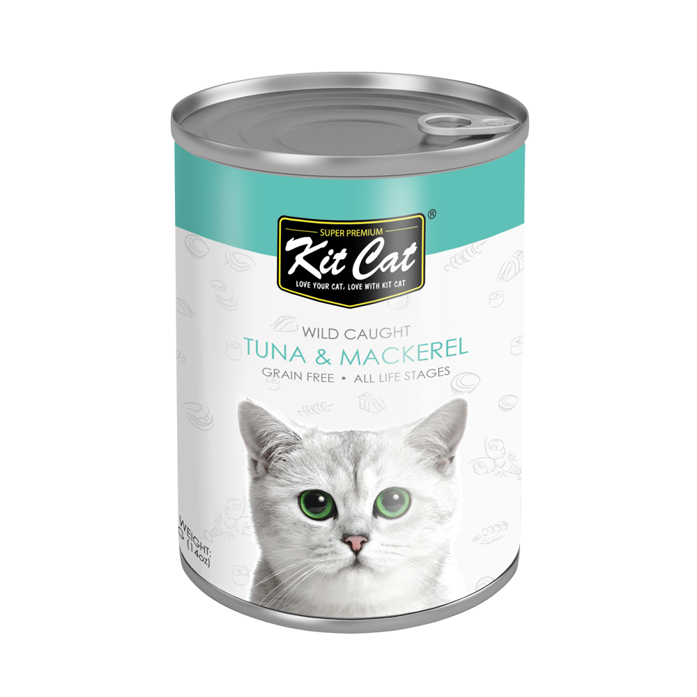 Can you feed outlet your cat canned tuna