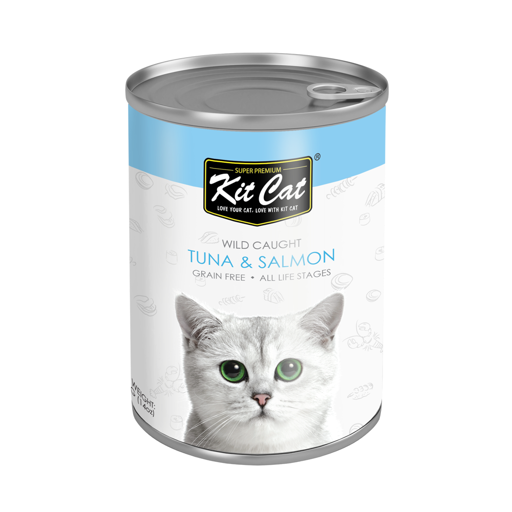 Can you feed cats canned cheap salmon