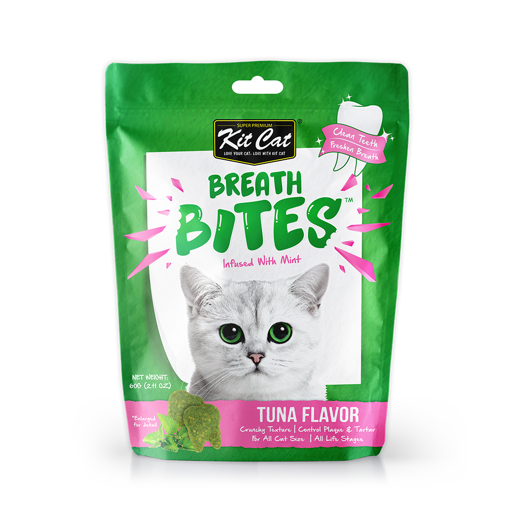 Cat treats hotsell for dental health