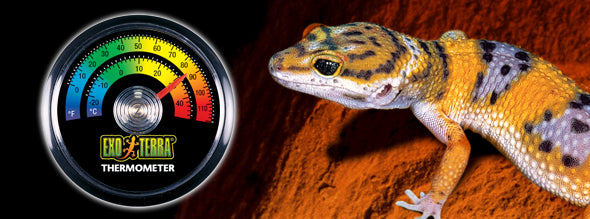 Exo Terra Rept-O-Meter Thermometer – kahayupan PH