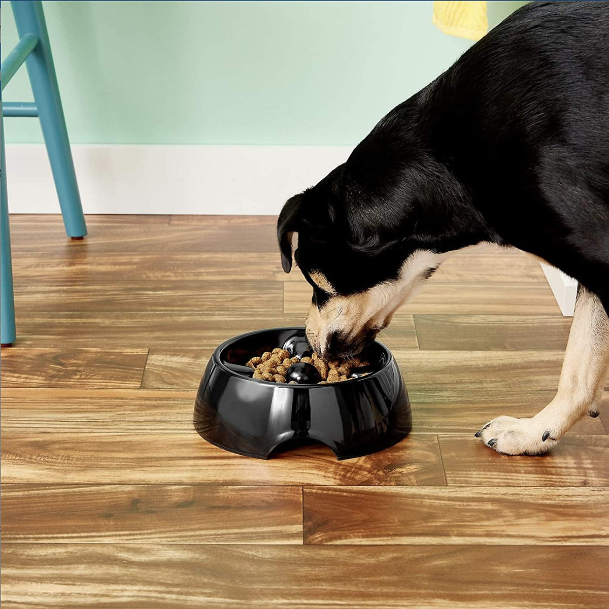 DogIt Go Slow Feeding Bowl Medium