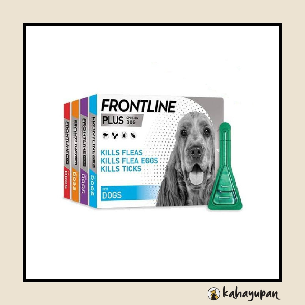 Frontline Plus Anti Tick and Flea Spot Treatment for Dogs