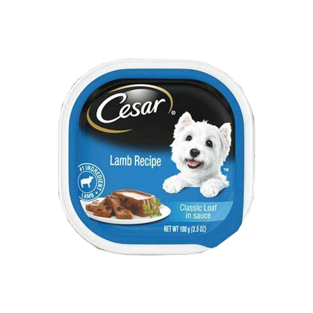 Cesar Gourmet Dog Food in Sealed Tray Lamb Recipe kahayupan PH