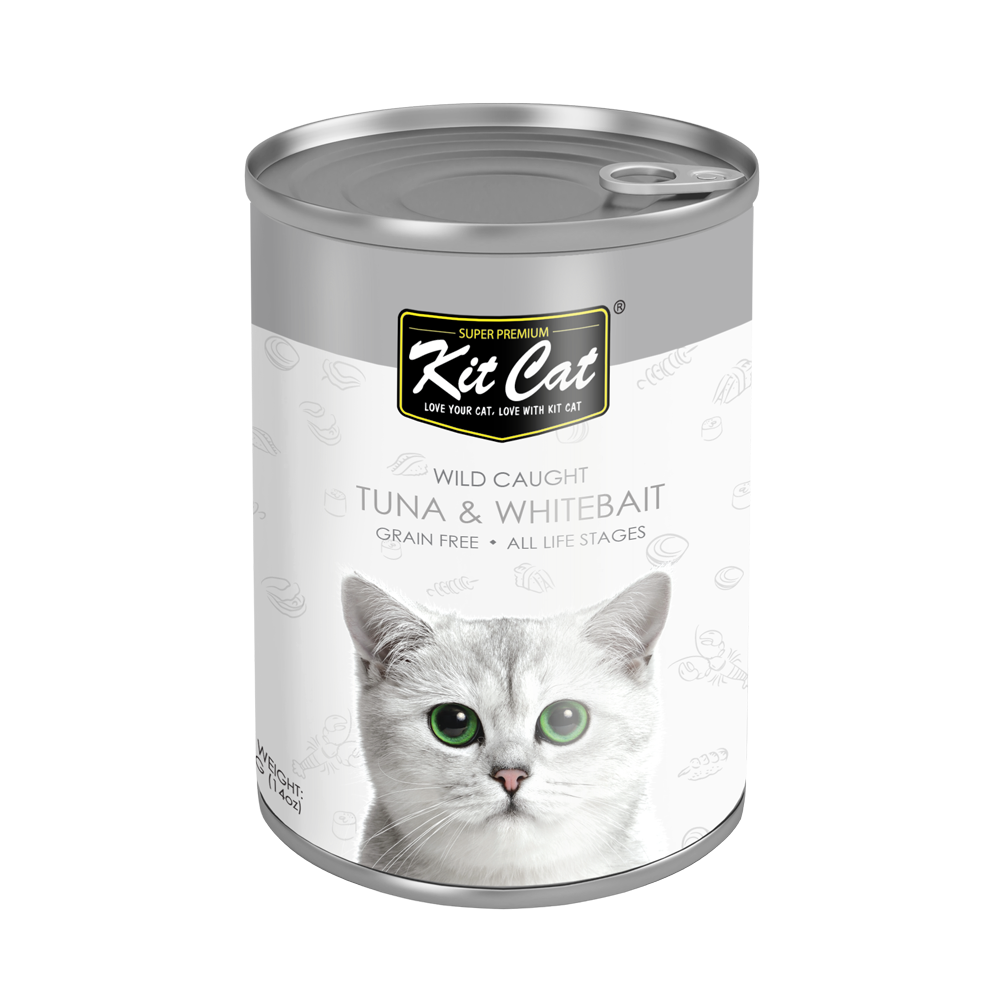 Is canned tuna ok for outlet cats