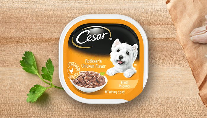 Cesar Gourmet Dog Food in Sealed Tray Chicken Recipe