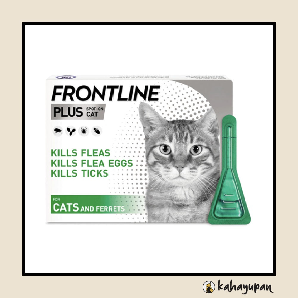 Frontline plus outlet feline