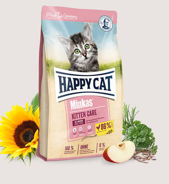 Happy cat kitten shops food