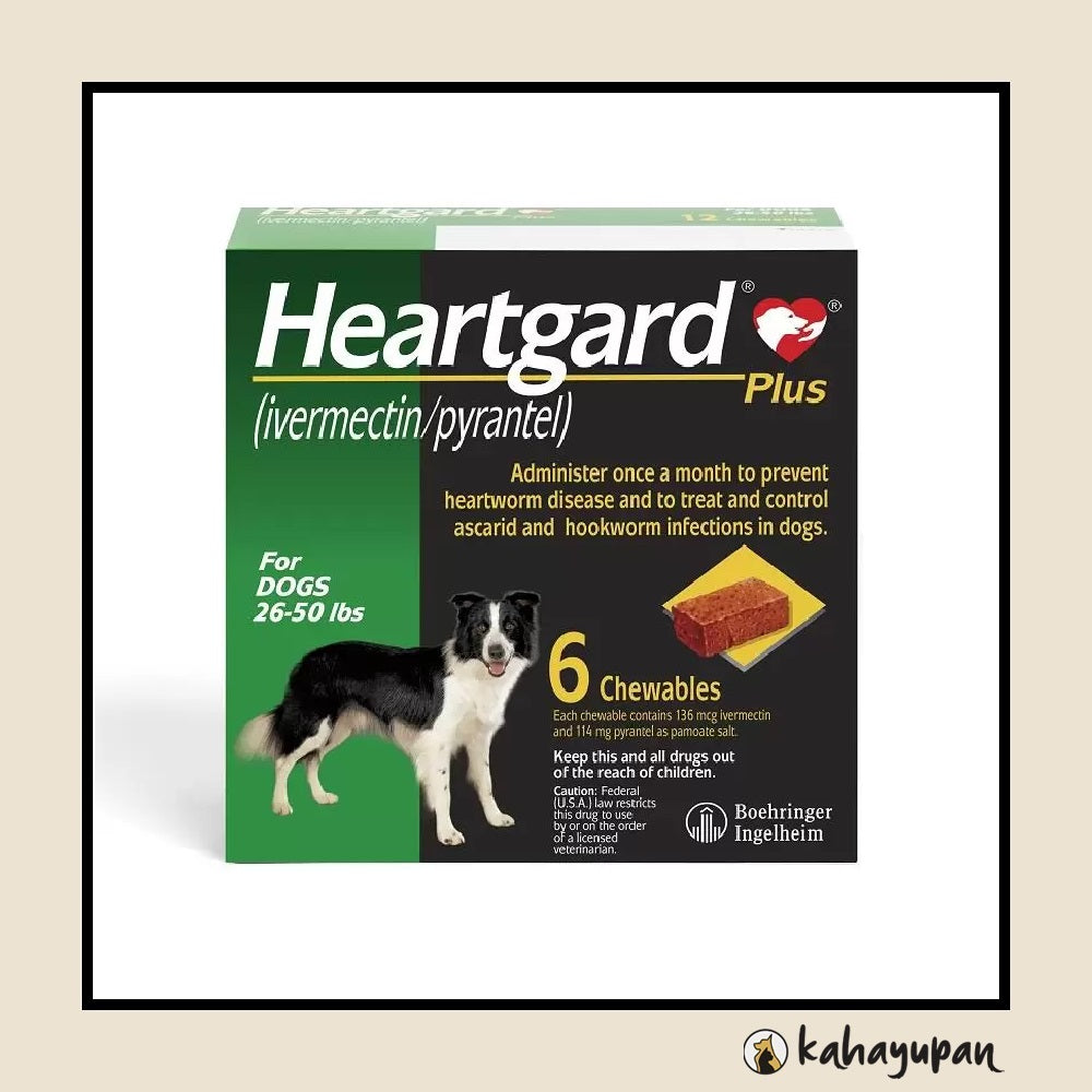 Canada heartworm meds hotsell