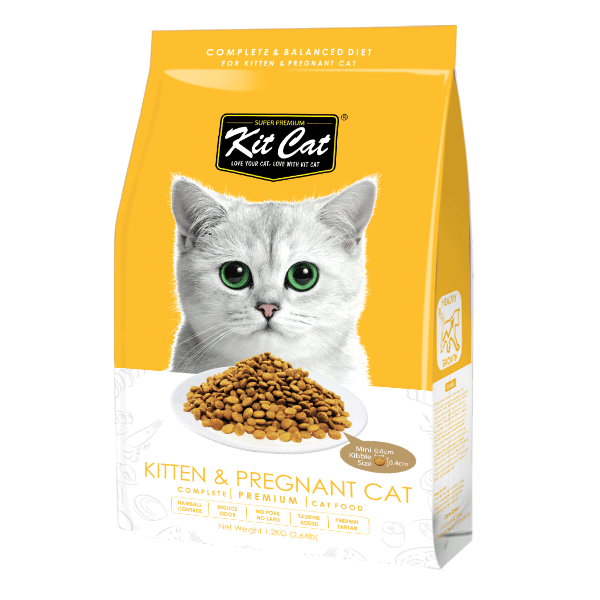 Kit Cat Premium Dry Food for Cats Kitten and Pregnant Healthy