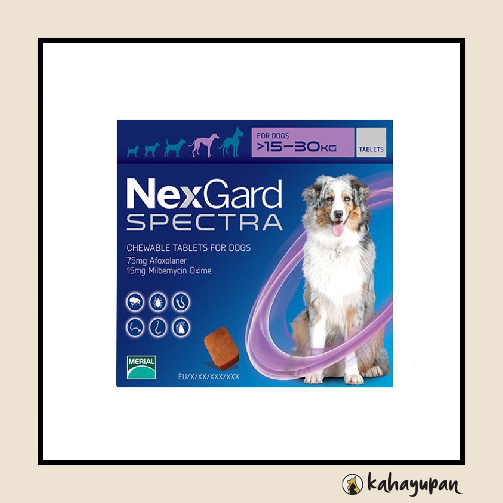 Nexgard Spectra Anti Tick, Flea, Roundworms, Hookworms and Whipworms C –  kahayupan PH